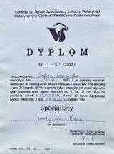 Dyplom tytuł Specjalisty